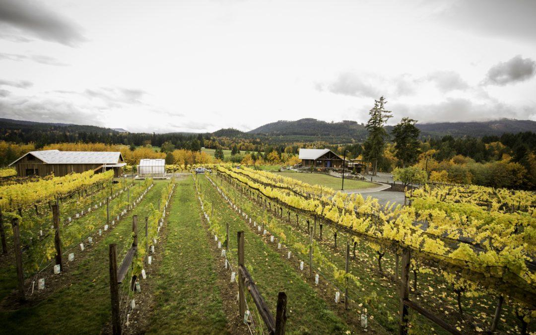 9 Wineries you should visit this fall!